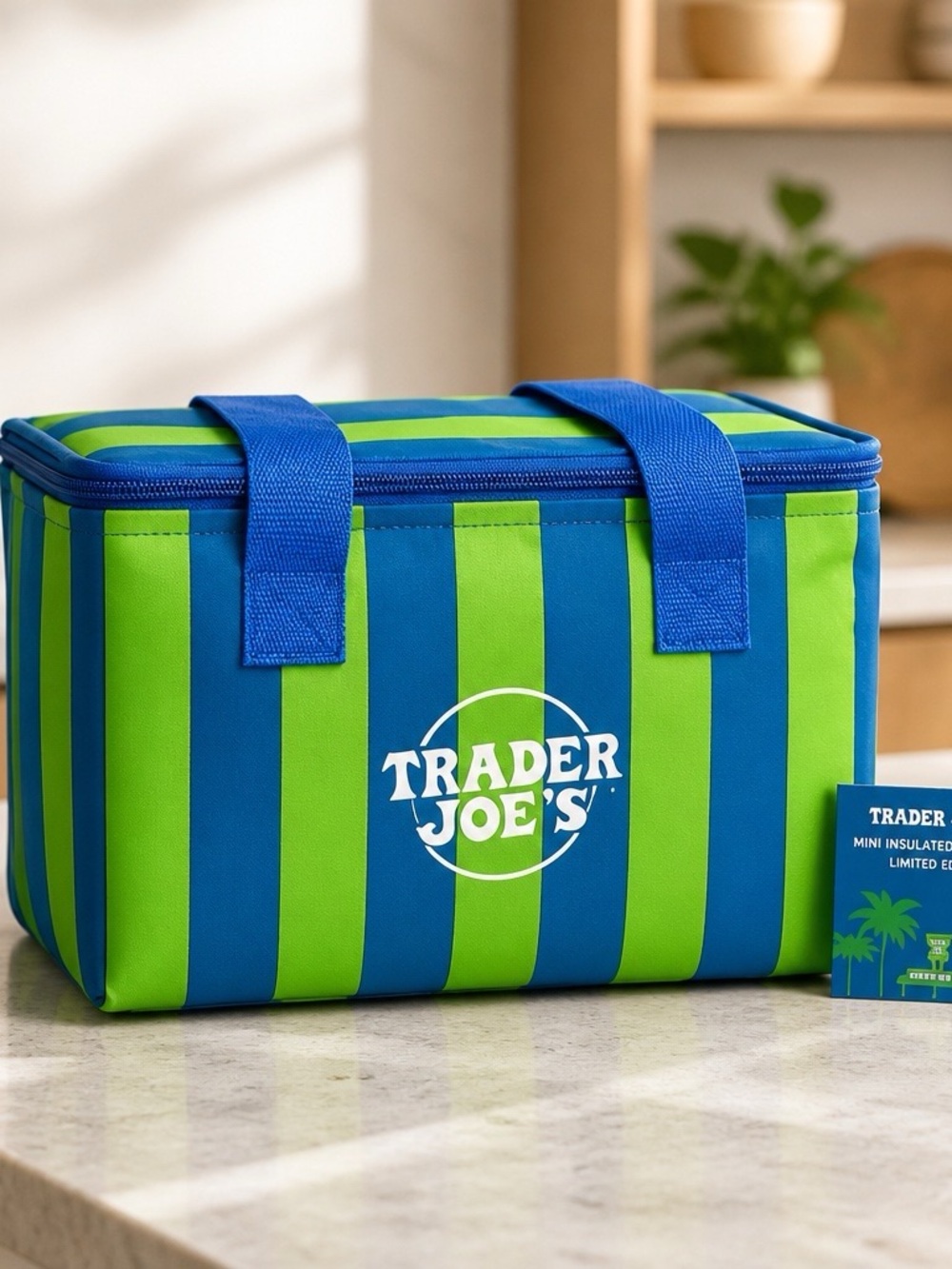 Trader Joe's Blue & Green Striped Insulated Tote Summer 2026